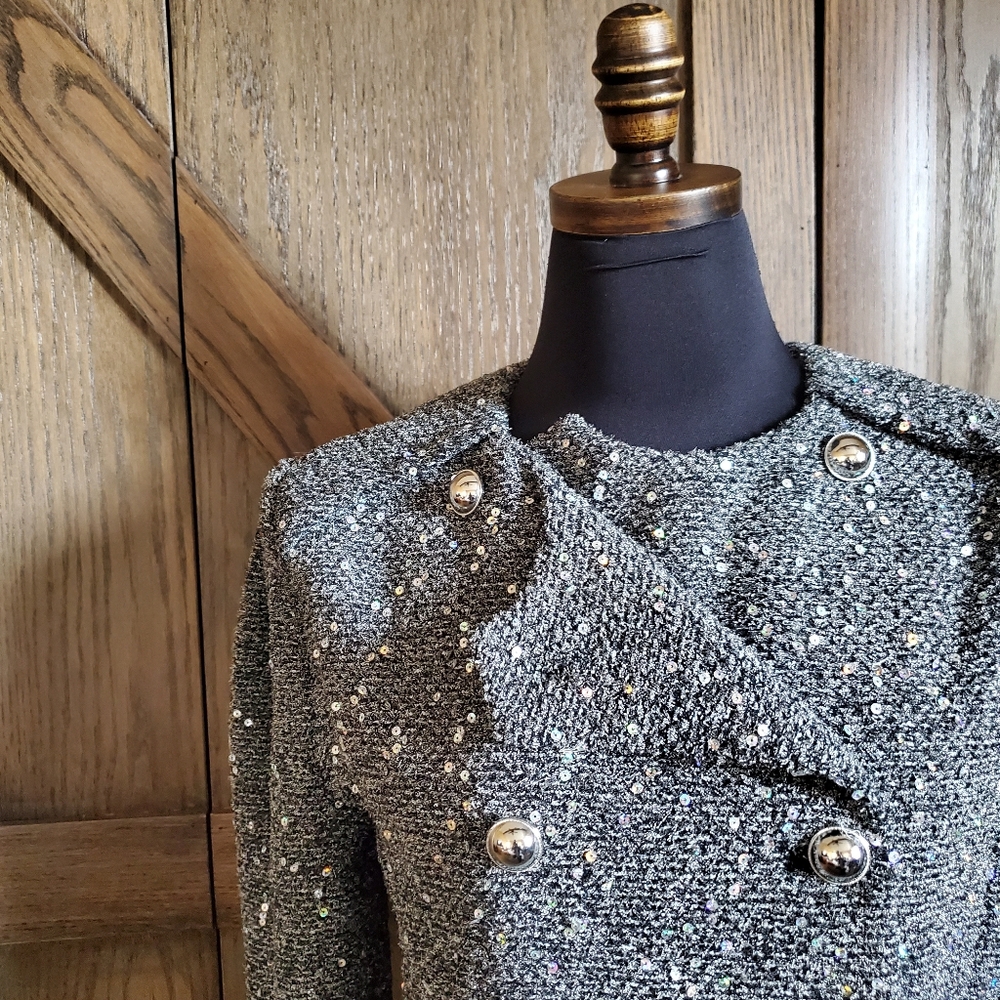 IRO Sorla Sequin Jacket